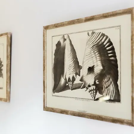 Appartamento Casa Ana Zara Esterno foto